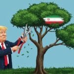 سُلارسا سولا، بؤیورسه بودا